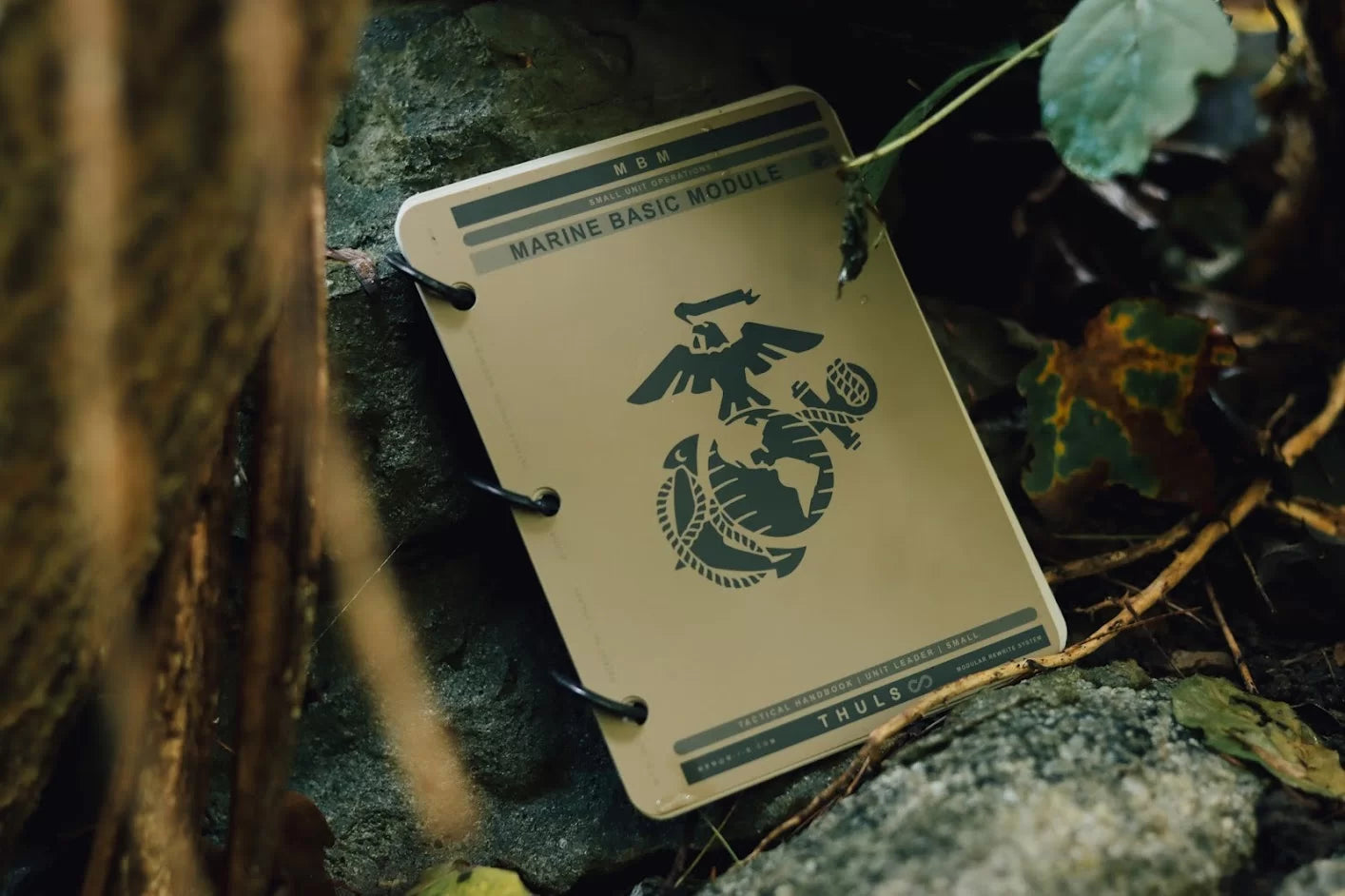 Marine Corps