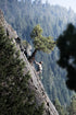 THULS - Cliff Assault (Mountain Warfare Series)